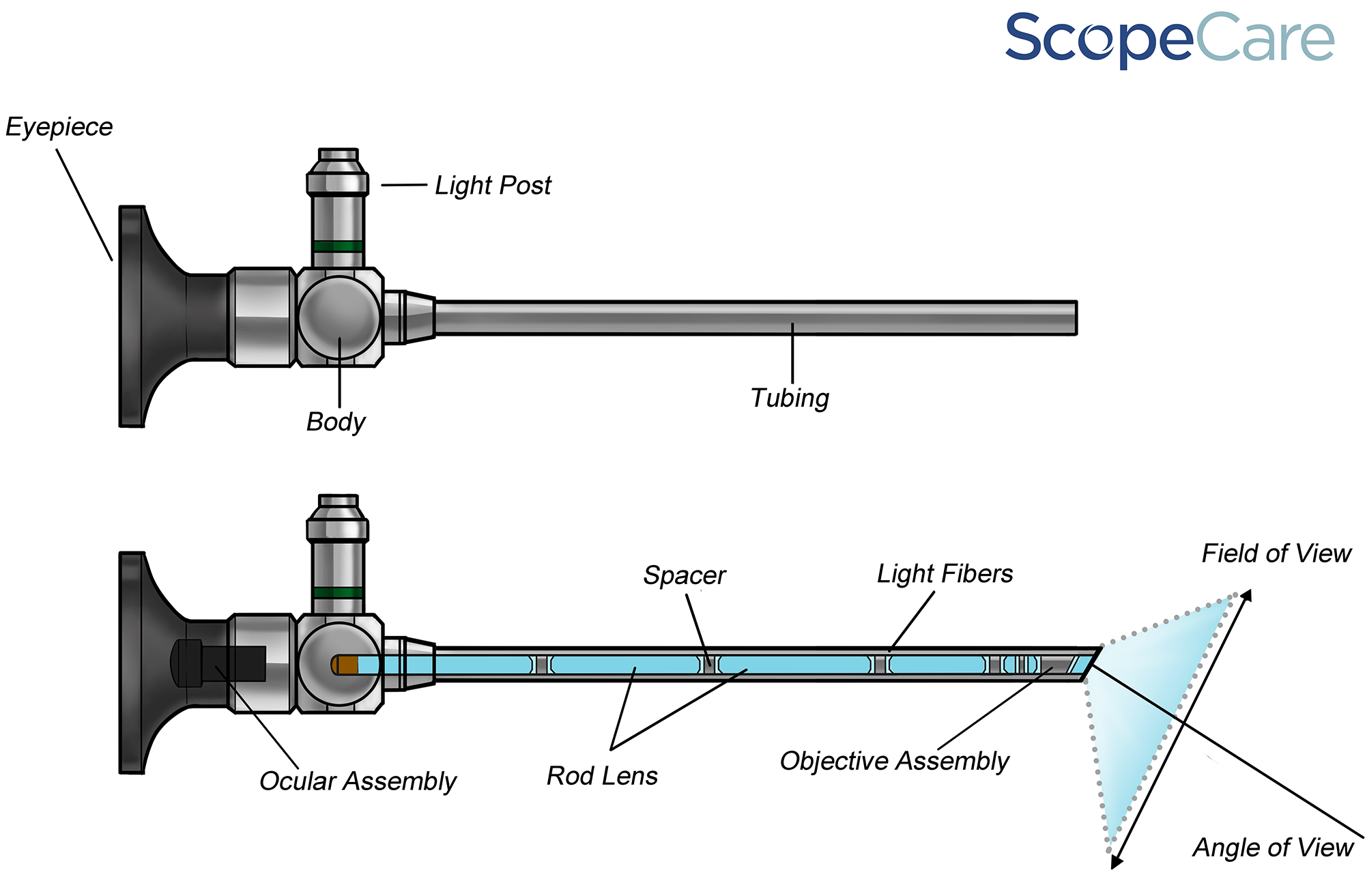 Ridged-Endoscope-Illustration.png